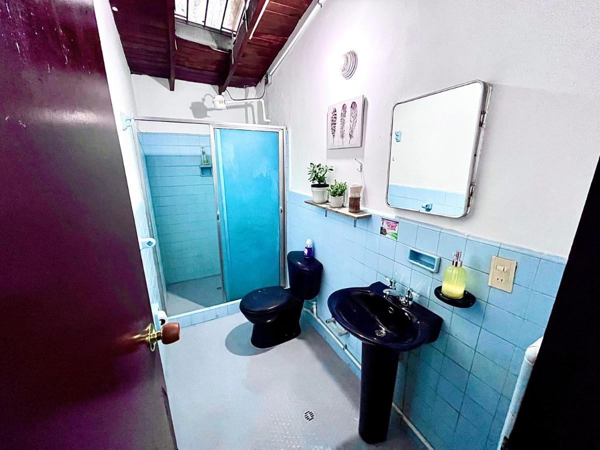 Spring Hostel