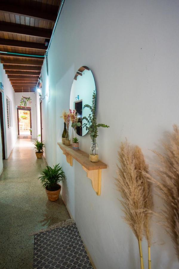 Spring Hostel Medellin