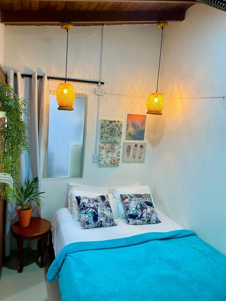 Hostel Spring